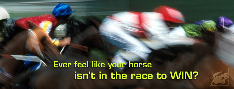 The best riders rarely choose the slowest horse!  We know how you might feel to have a company that has little or no international market share, who either don't know how to begin...or wishes to improve their existing marketing efforts internationally. CDS Worldwide is the answer! We partner with our clients to recognize their highest-value opportunities, address their most critical challenges, and transform their enterprises into high performing organizations. Our customized approach combines deep insight into the capabilities of companies and their targeted international markets. In close collaboration at all levels of a client's organization, this focus ensures that our clients achieve sustainable competitive advantage, build more capable organizations, and secure lasting results. Companies like Bay West Paper Company, Claire Aerosols, Continental Plastics, GOJO Industries, Nilodor Incorporated, Wausau Paper Corporation (and many more) have greatly benefited from our services... and you can too.